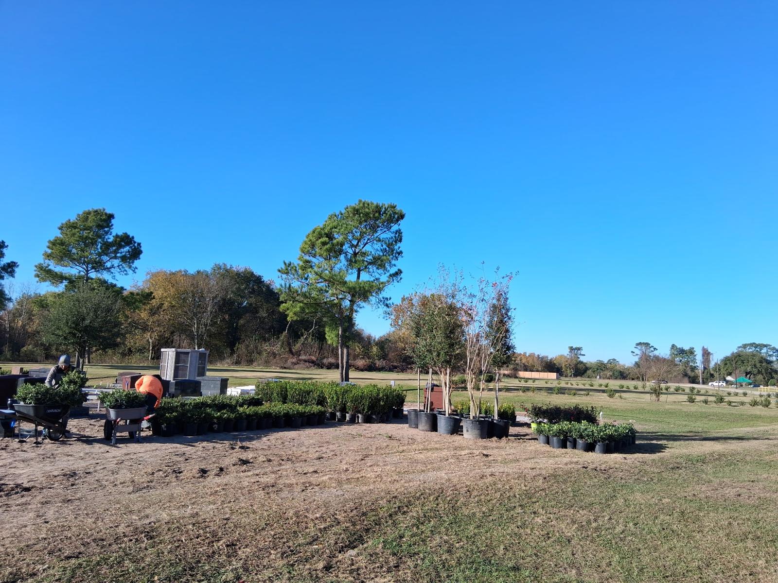 Phoenix Landscaping team at work